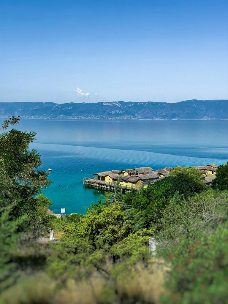 a-view-of-a-body-of-water-from-a-hill-q64mezydezi